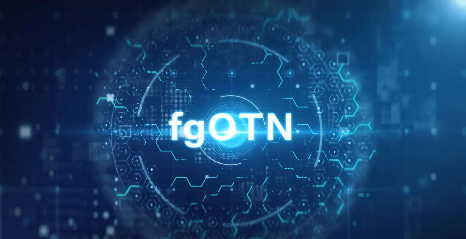 fgOTN技术解读视频